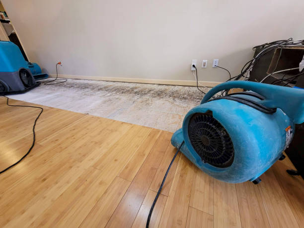 Professional Water Damage Repair technician working in Portland, OH